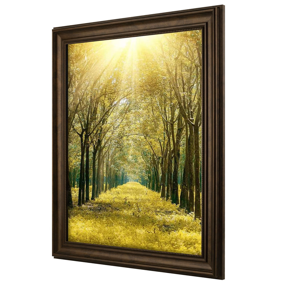 16x20 Ornate Picture Frame, Real Glass, Dark Brown Poster Photo Frame