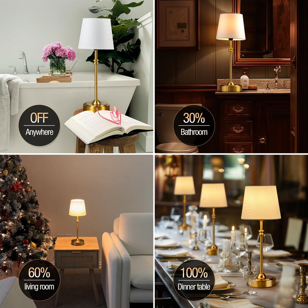 Cordless Lamp-Battery Operated Table lamp, 4000mAh Rechargeable, Stepless Dimmable, Small Touch Bedside Lamp