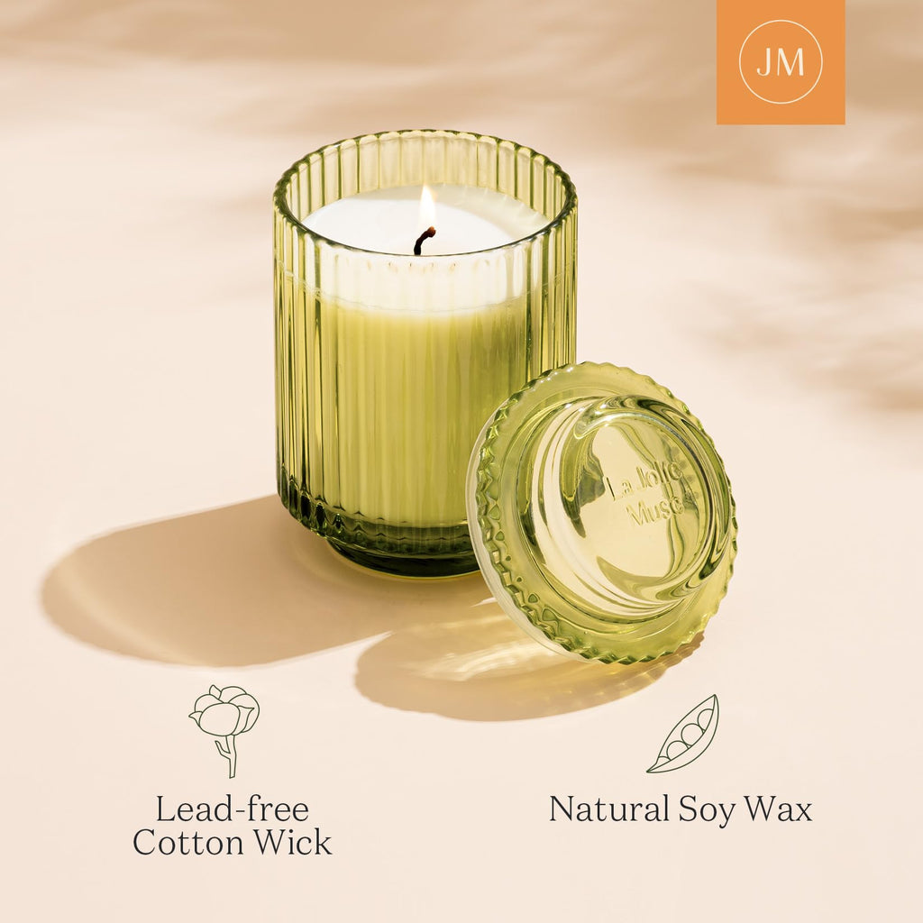 Starlit Fir Pine Scented Candles, Natural Soy 11oz