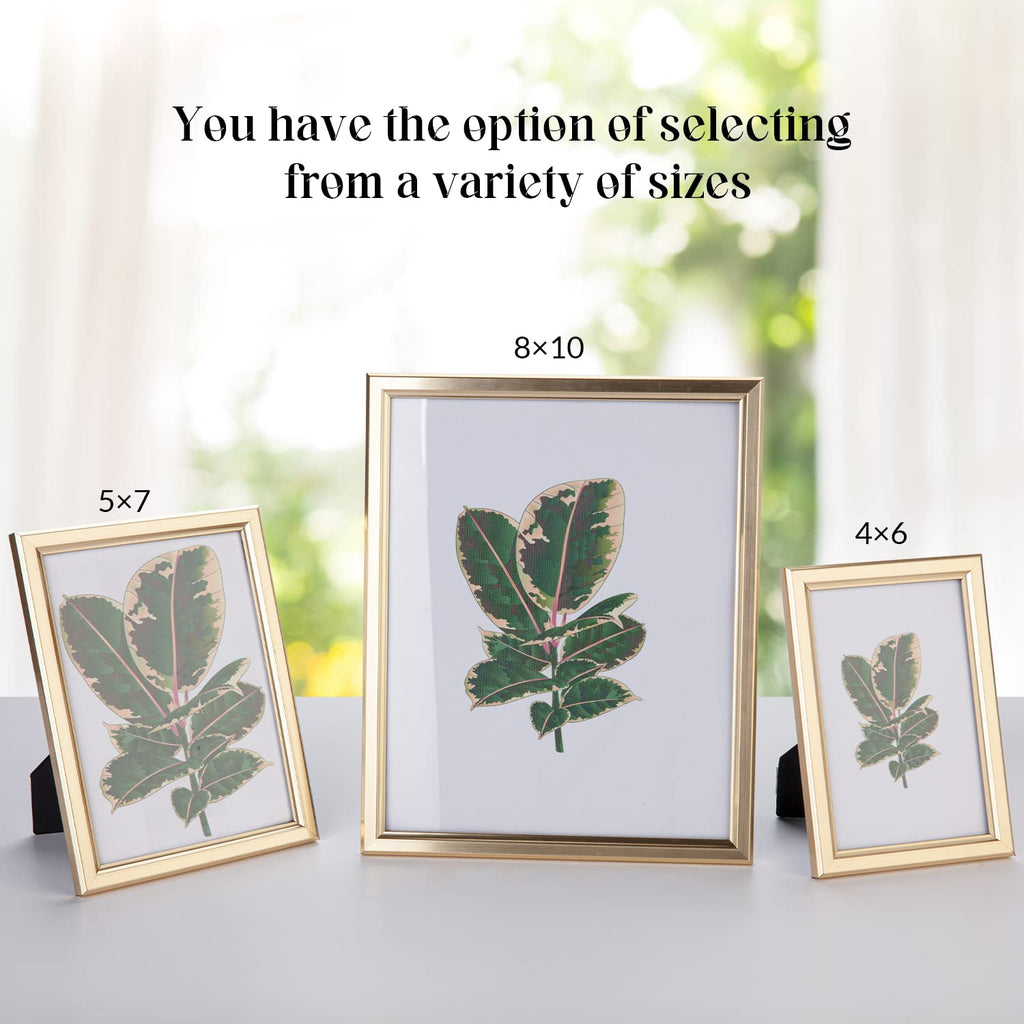 8x10 Picture Frame - Set of 5, Matte Gold 8 x 10 Photo Frame with High-Definition Glass, Modern 8x10 frame for