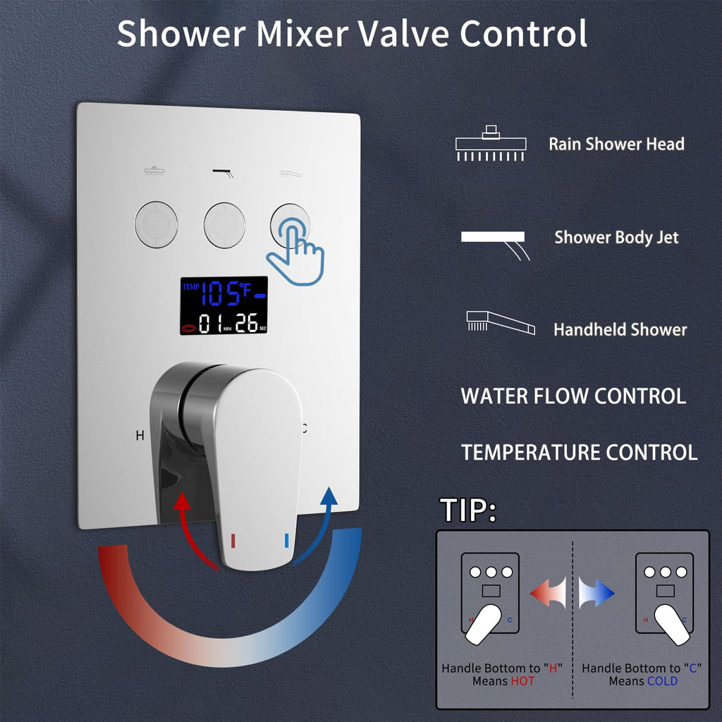 Dual Rain Shower Head System Ceiling Mount 14x20inch LED Shower Head and 8 Inch Side Shower Head with Handheld