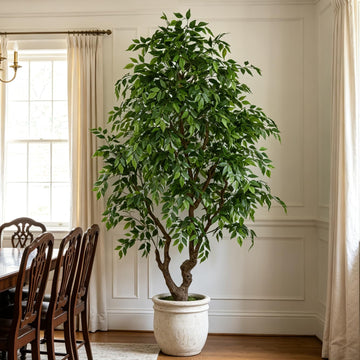Artificial Ficus Tree 7FT with 2294 Leaves & Black Pot Deluxe