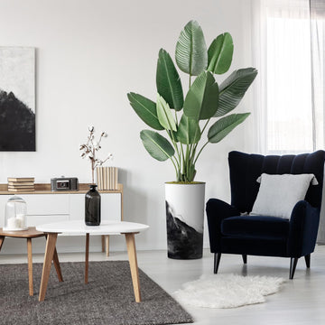 Artificial Tree in Contemporary Planter, Fake Bird of Paradise Silk Tree for Indoor and Outdoor Home Decoration - 67"
