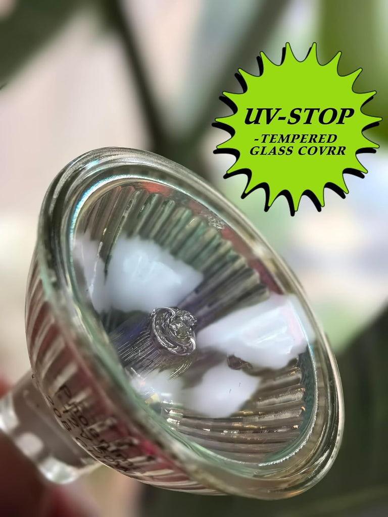 6PCs MR16 12V 50W EXN High Output 800LM Halogen Bulb GU5.3 Pin Base, 2-Inch 38° Beam Angle, UV Stop Tempered Glass