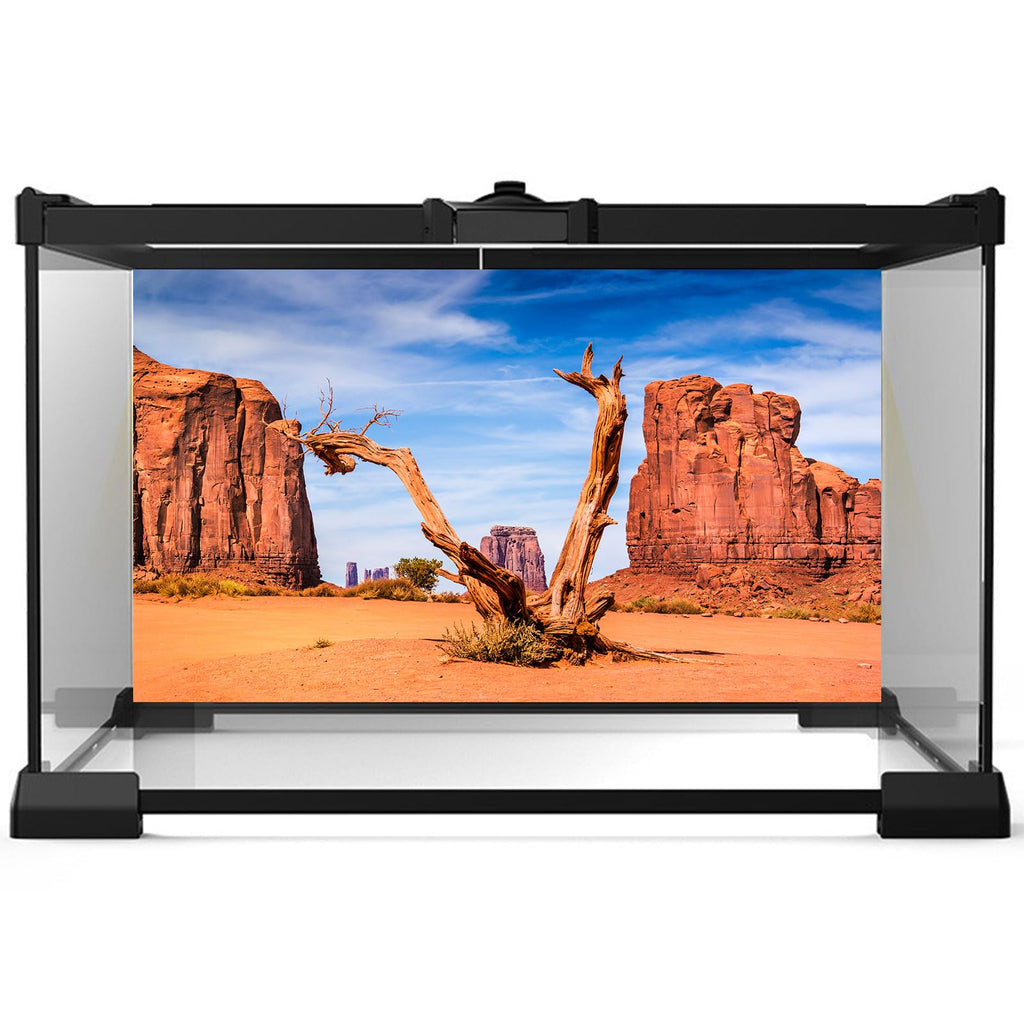 Reptile Habitat Background Desert Clear Blue Sky Backdrop Sandstone Rock Mountain Scenery Terrarium Background