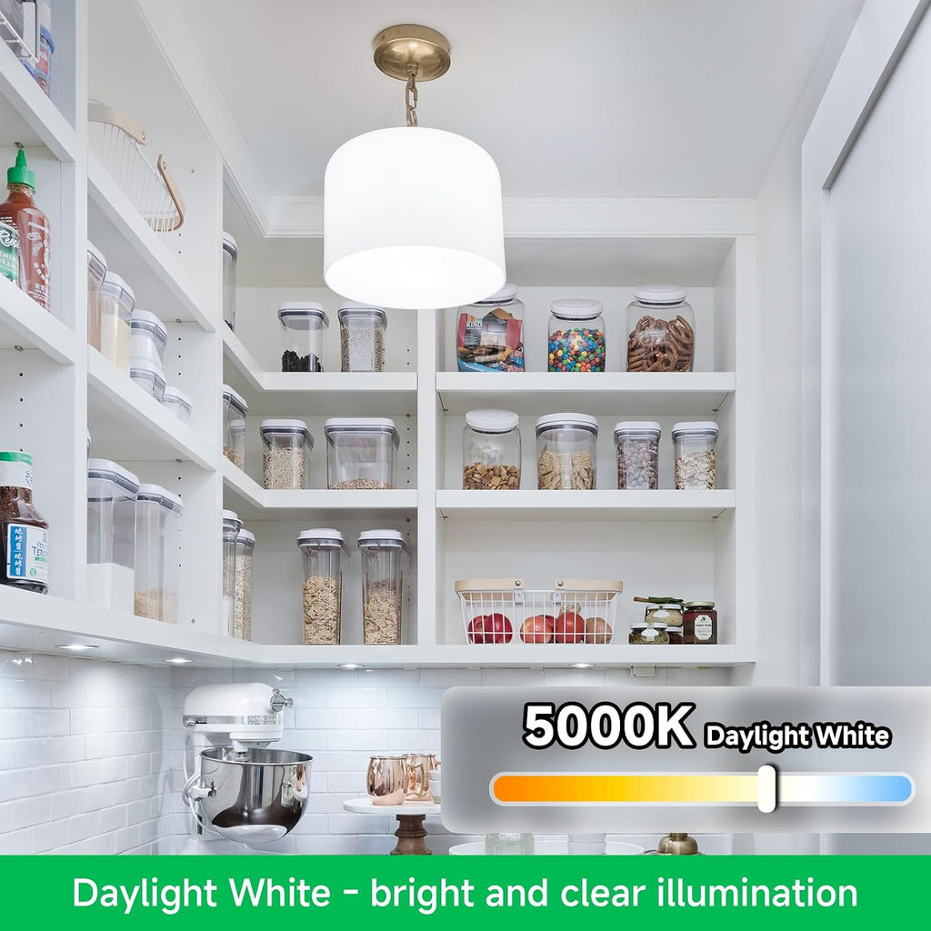 A19 LED Light Bulbs 60W Equivalent Daylight White 5000K