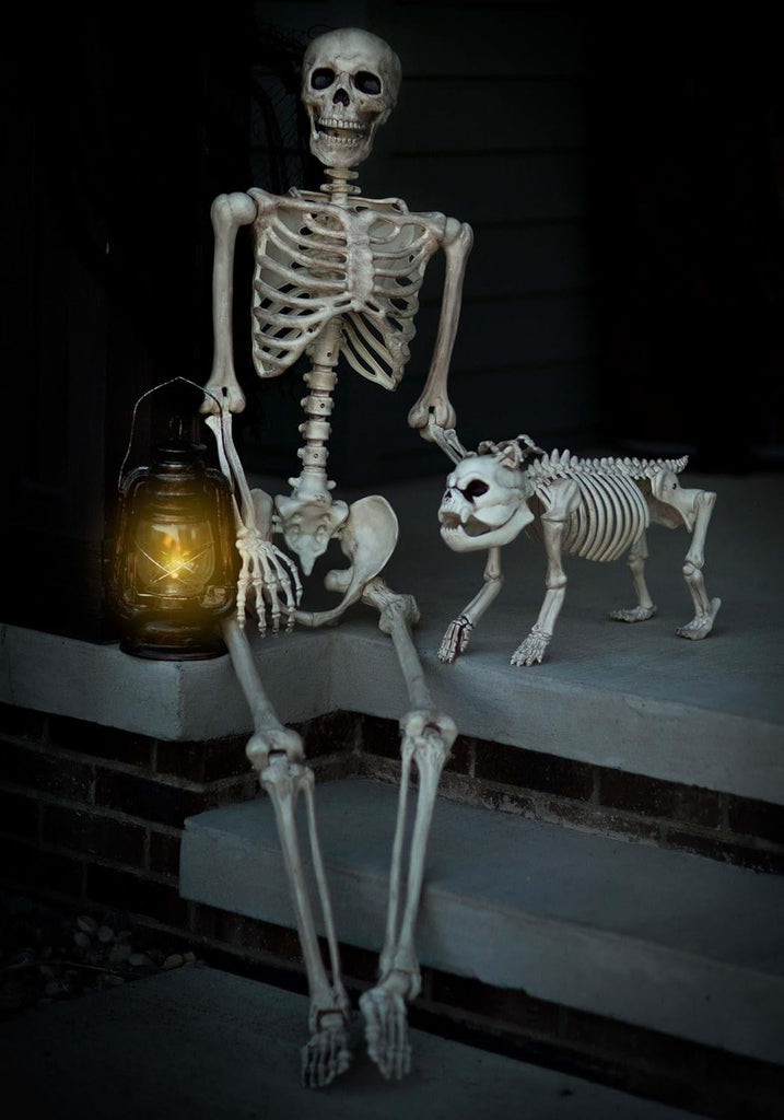 Original Pose-N-Stay Halloween Skeleton, 5 FT - Life-Size