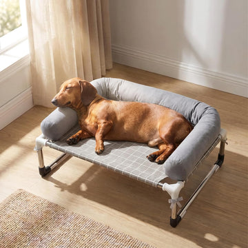 Elevated Dog Bed with 3 Sided Bolster - Raised Pet Cot for Small Dogs
