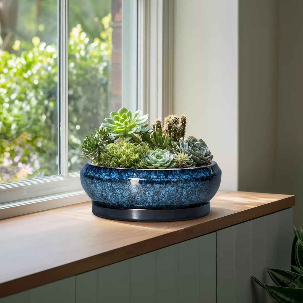 Bonsai Pots - 13 Inch Ceramic Succulent Pots for Indoor Outdoor, Large Succulent Planter with Drainage Hole and
