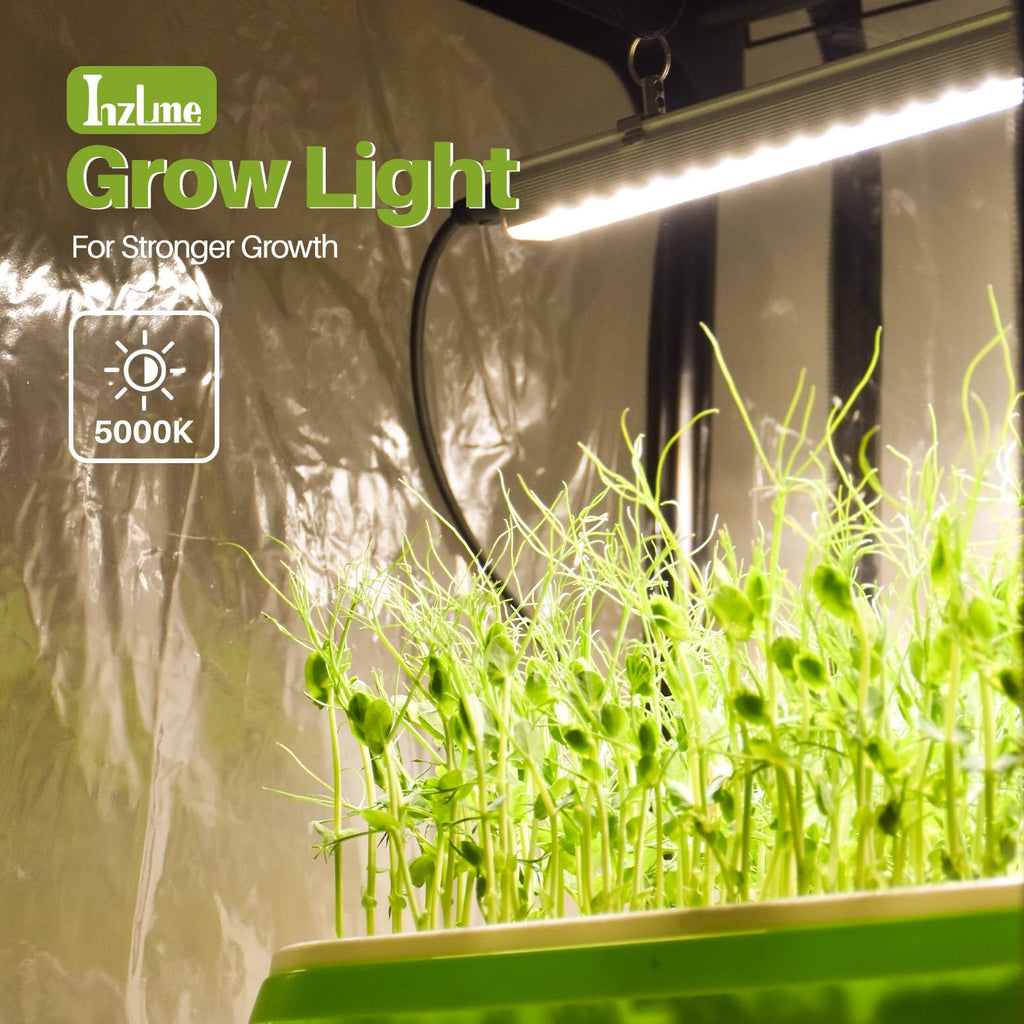 Indoor Greenhouse with Grow Lights, 11.8x15.7x59