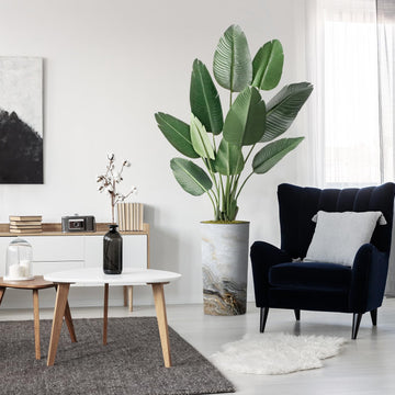 Artificial Tree in Modern Granite Effect Planter, Fake Bird of Paradise Silk Tree for Indoor and Outdoor Home