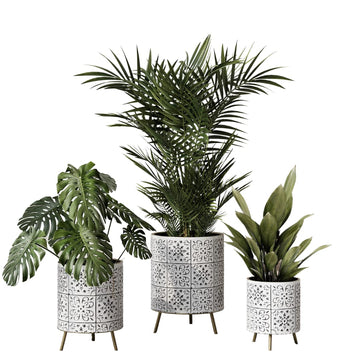 Tristan Neutral Minimal White and Black Modern Style Planter with Nyra Stand, SelectBase Plant Pots, Indoor Planter