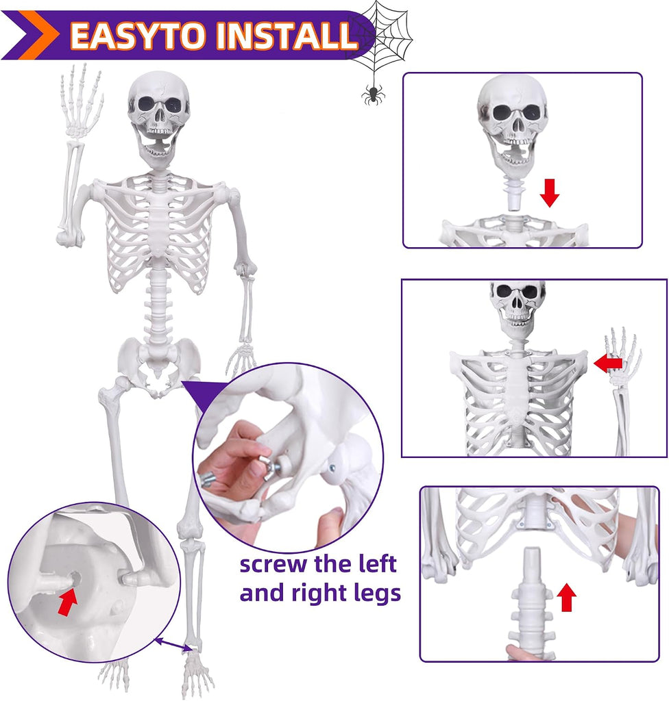 5.4Ft Halloween Skeleton Life Size Skeleton with Posable Joints