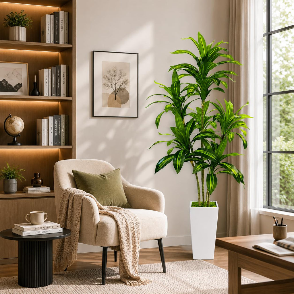 Dracaena Tree with White Tall Planter, 6FT
