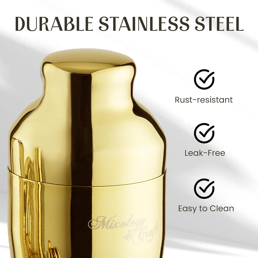 Cocktail Shaker Set with Bamboo Stand - Professional 10-Piece Bartender Kit, Complete Bar Set Use with Jigger