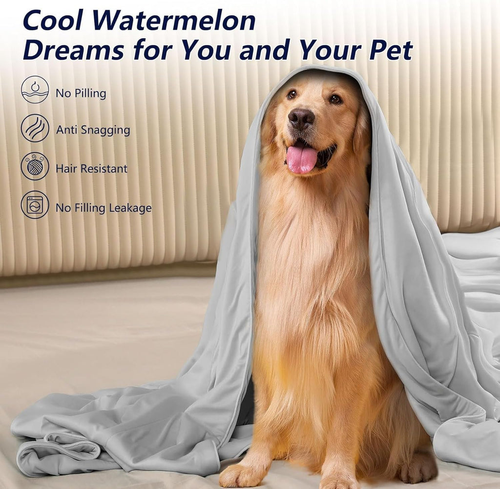 Cooling Comforter Queen Size, Cooling Blanket for Hot Sleepers, Breathable Ice Blanket Q-Max > 0.4, All-Season