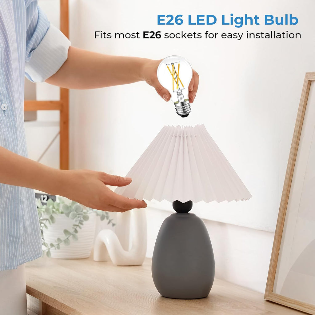 A19 E26 LED Light Bulbs 60 Watt Equivalent, 2700K Edison Bulbs