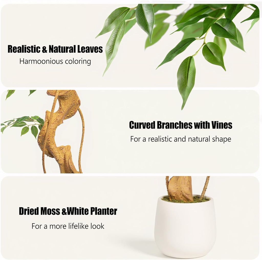 6ft Large Ficus Artificial Trees in White Pot, 72" Tall Fake Silk Tree with Natural Curved Trunk, Lush Faux Ficus