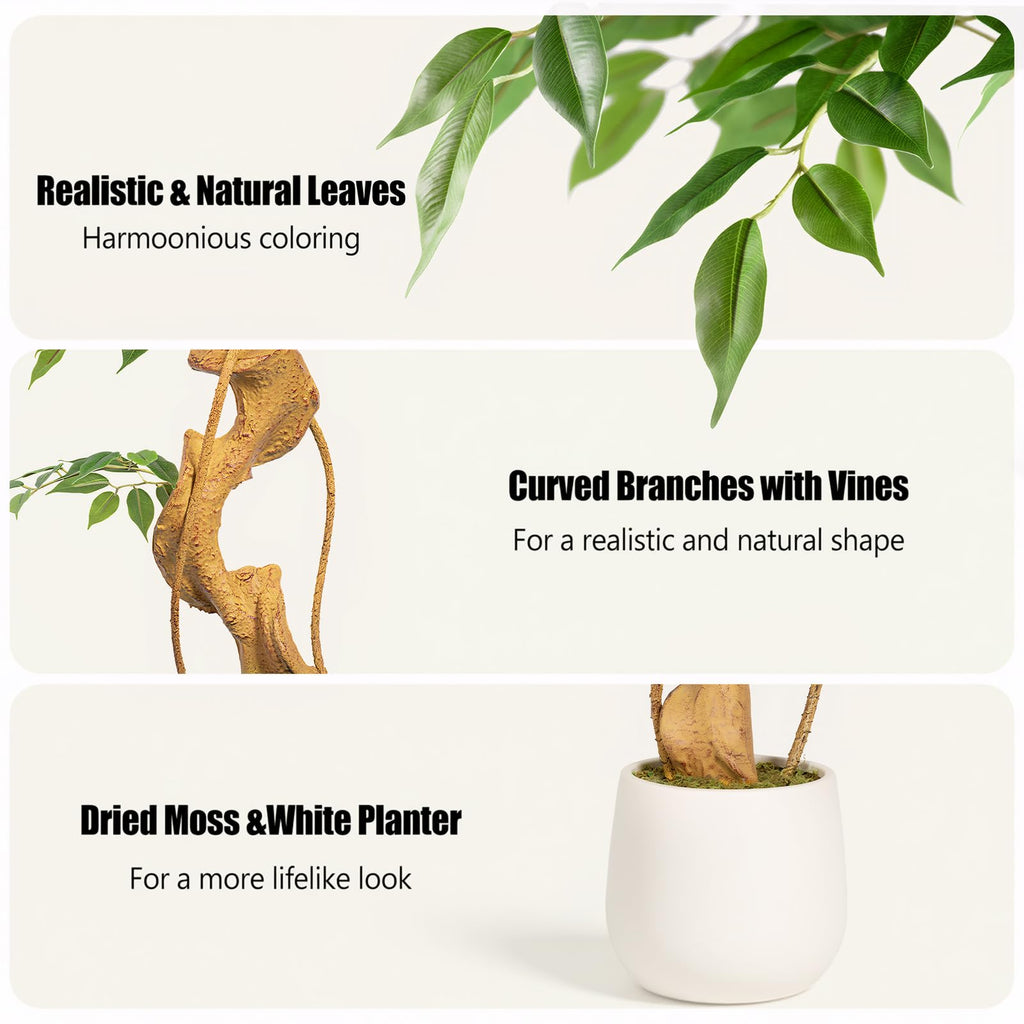 5ft Large Ficus Artificial Trees in White Pot, 60" Tall Fake Silk Tree with Natural Curved Trunk, Lush Faux Ficus
