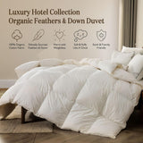 Lightweight Organic Feather Down Comforter Queen