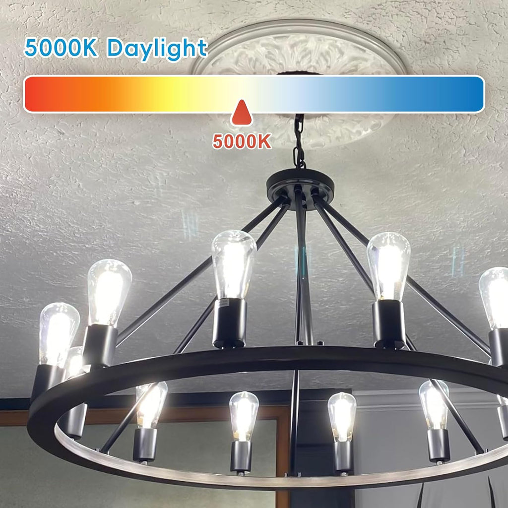 Edison Bulbs E26 LED Bulb 60 Watt Equivalent, Vintage LED Light Bulbs CRI90+ ST19, Dimmable Clear Light Bulbs (5000K