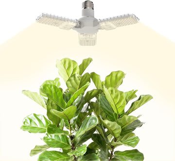 25W Grow Light for Indoor Plants, 4000K Full Spectrum E26 Bulb