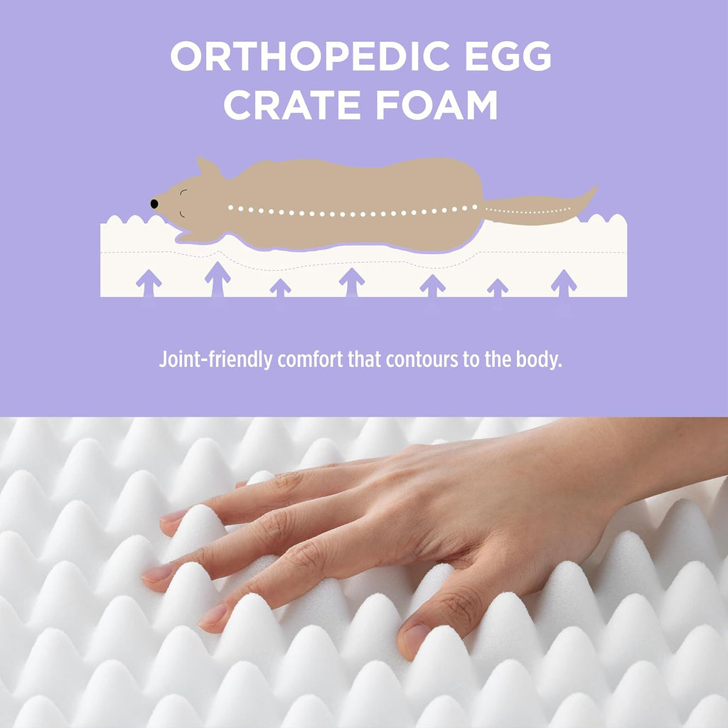 Cute Orthopedic Dog Bed Medium Size Dog, Waterproof Chic Flat Pet Beds with Removable Washable Cover, Fuzzy Thick Egg