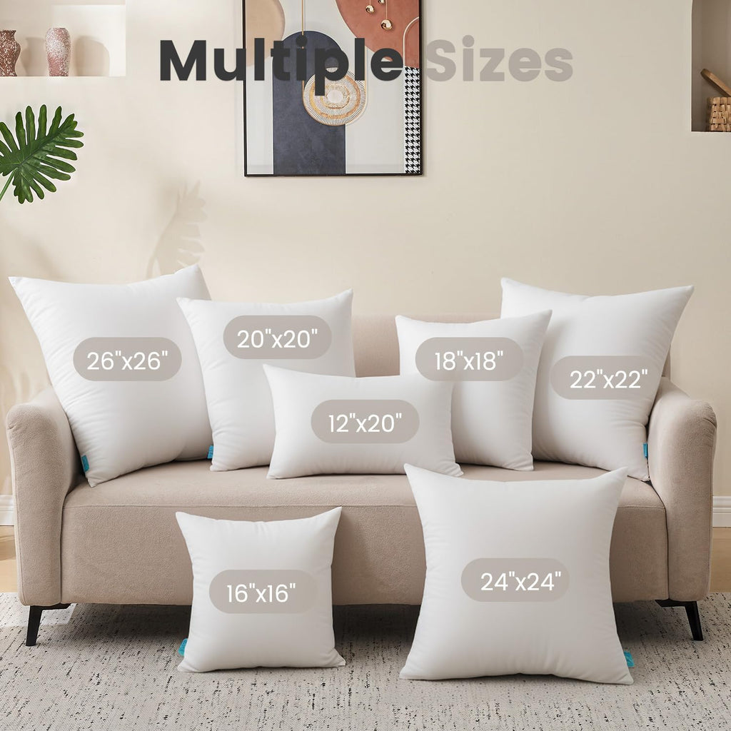 20x20 Pillow Inserts, 2 Pack Down Alternative Throw Pillow Inserts - Set of 2