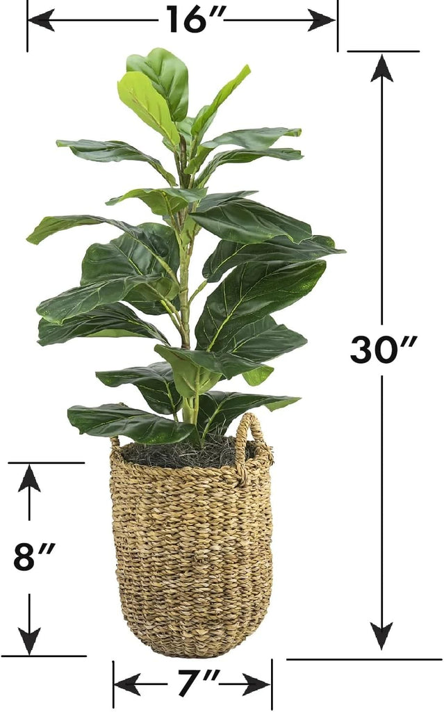 2.5 ft Artificial Fig Tree Plant in Basket, Faux Fiddle Leaf Fig Indoor Plant Decor, Realistic Designer Fake Potted