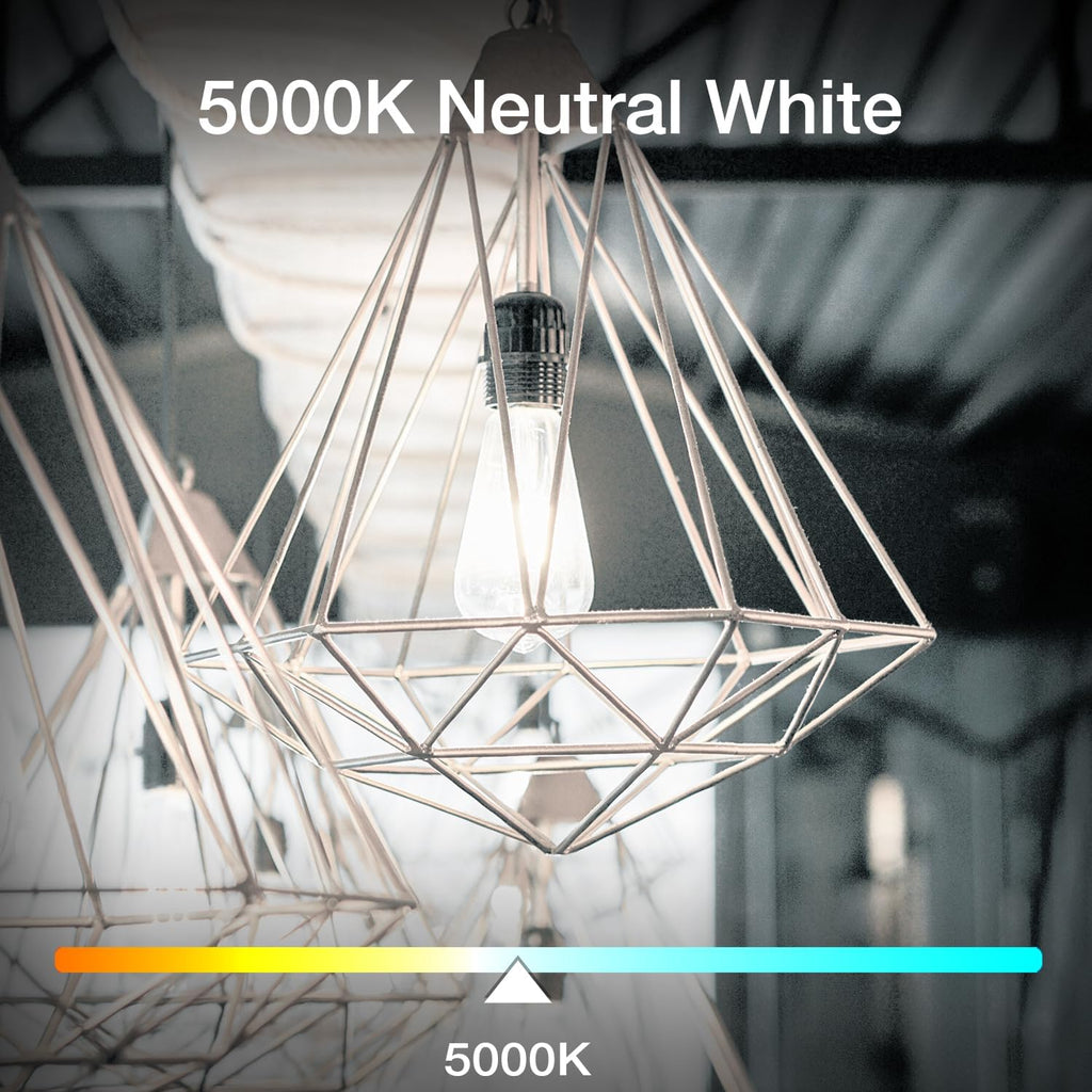 12 Pack Vintage LED Edison Bulbs, E26 Led Bulb 60W Equivalent, Dimmable Led Light Bulbs, High Brightness 800 LM