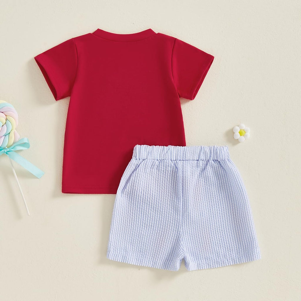 Toddler Baby Boy Summer Clothes Cute Crawfish Outfit Lobster Short Sleeve T-shirt Tops & Stripes/Gingham Shorts Set