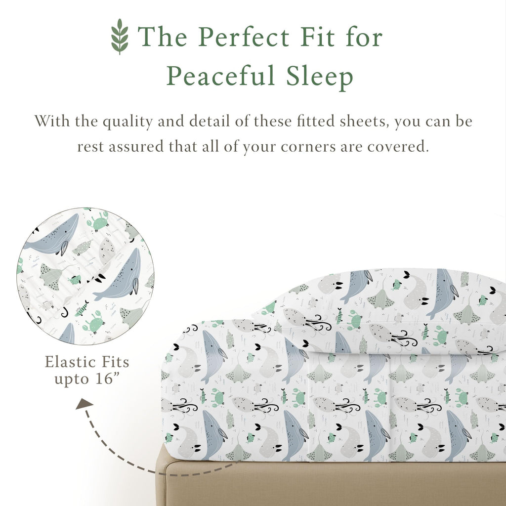 Organic Cotton Twin XL Sheet Set, Percale, 3-Piece, Dorm-Ready