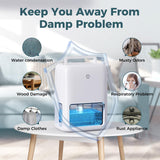 60 OZ Dehumidifiers for Home, Dual-Semiconductor Quiet Dehumidifier with Timer Sleep Mode Auto