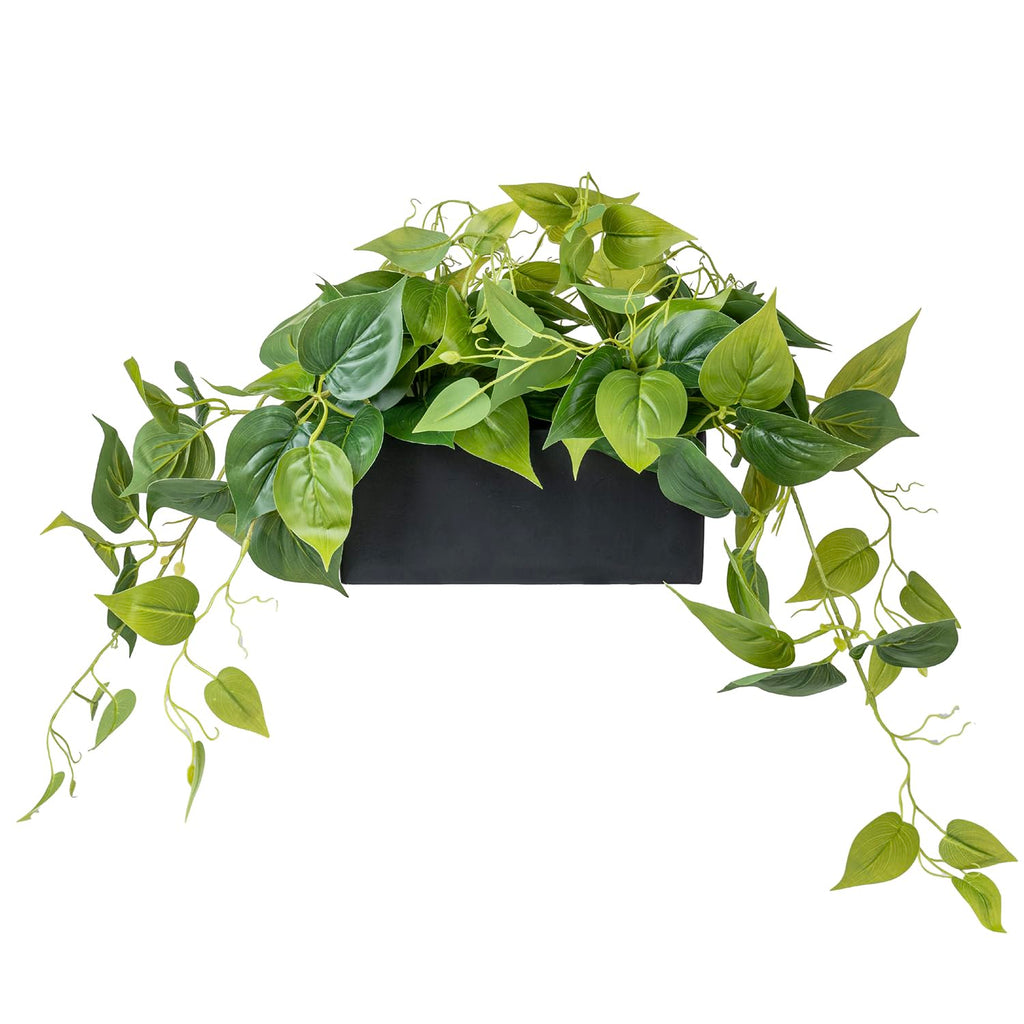 Vibrant Lifelike Artificial Plant Pothos Leafy Vine Greenery in Black Concrete Rectangular Planter Box
