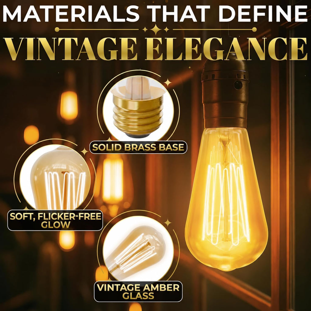 Incandescent Light Bulbs 60 Watt, 210 Lumens, 4 Pack ST64 Edison Bulbs