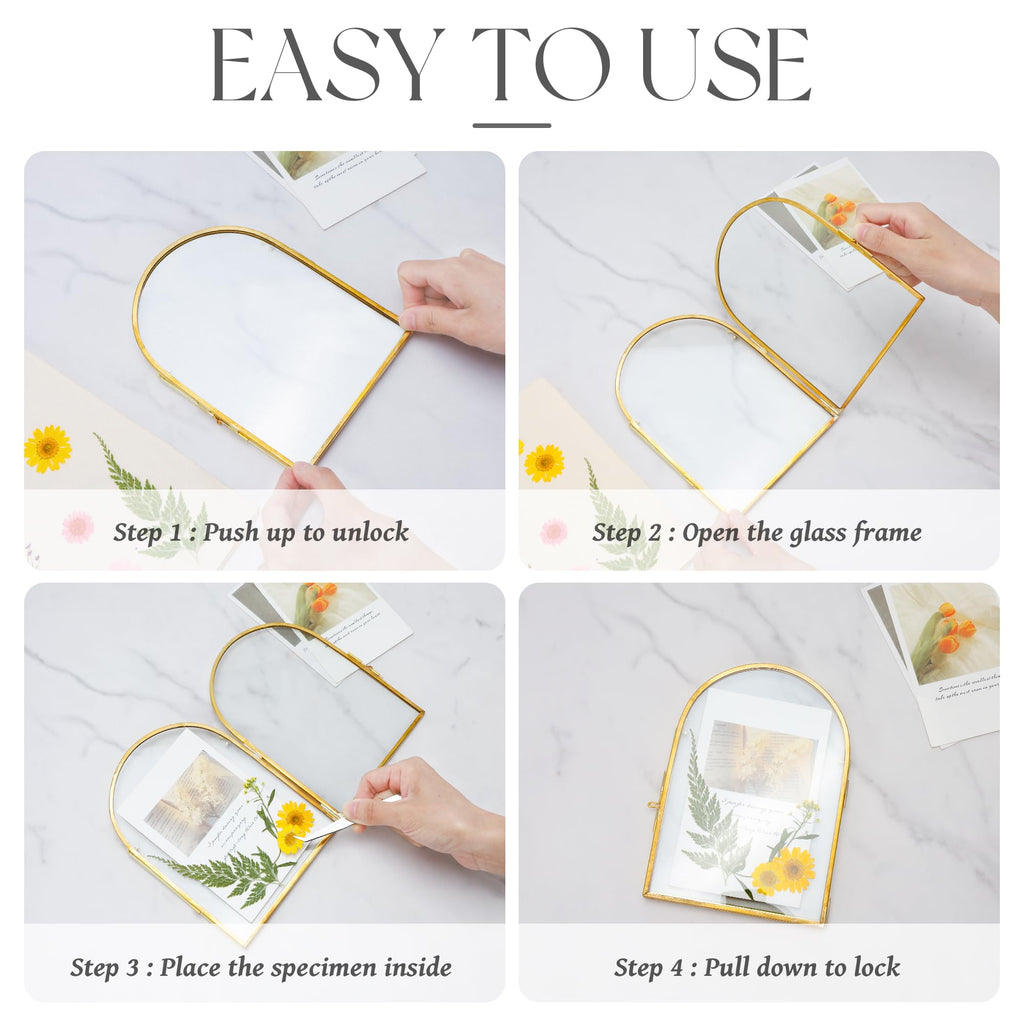 Double Glass Frame for Pressed Flowers Handmade, Arc, Gold, 4x6 in