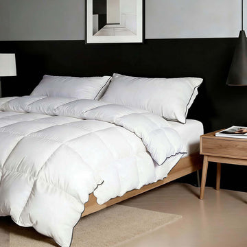 Goose Down Comforter Oversized King Size, Premium 100% Natural White Goose Down Duvet Insert, 800+ Fill Power, Extra