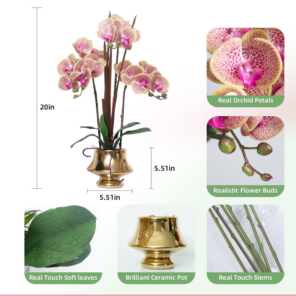 Orchids Artificial Flowers Real Touch Fake Flower in Ceramic Pot 20" Purple Dapple Faux Orchid Plant Lifelike Silk
