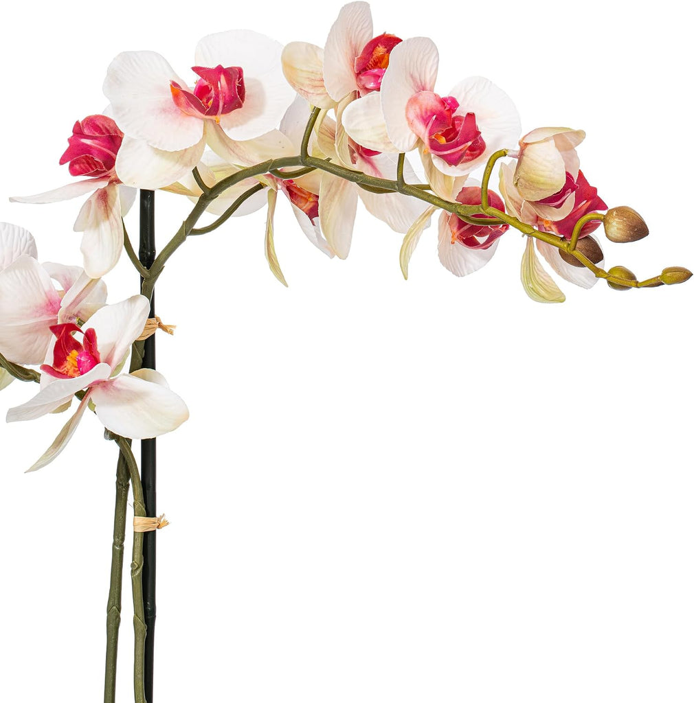 22" Indoor Artificial Pink and White Phalaenopsis Spray - Real Touch Petals - Decorative Ceramic Pot