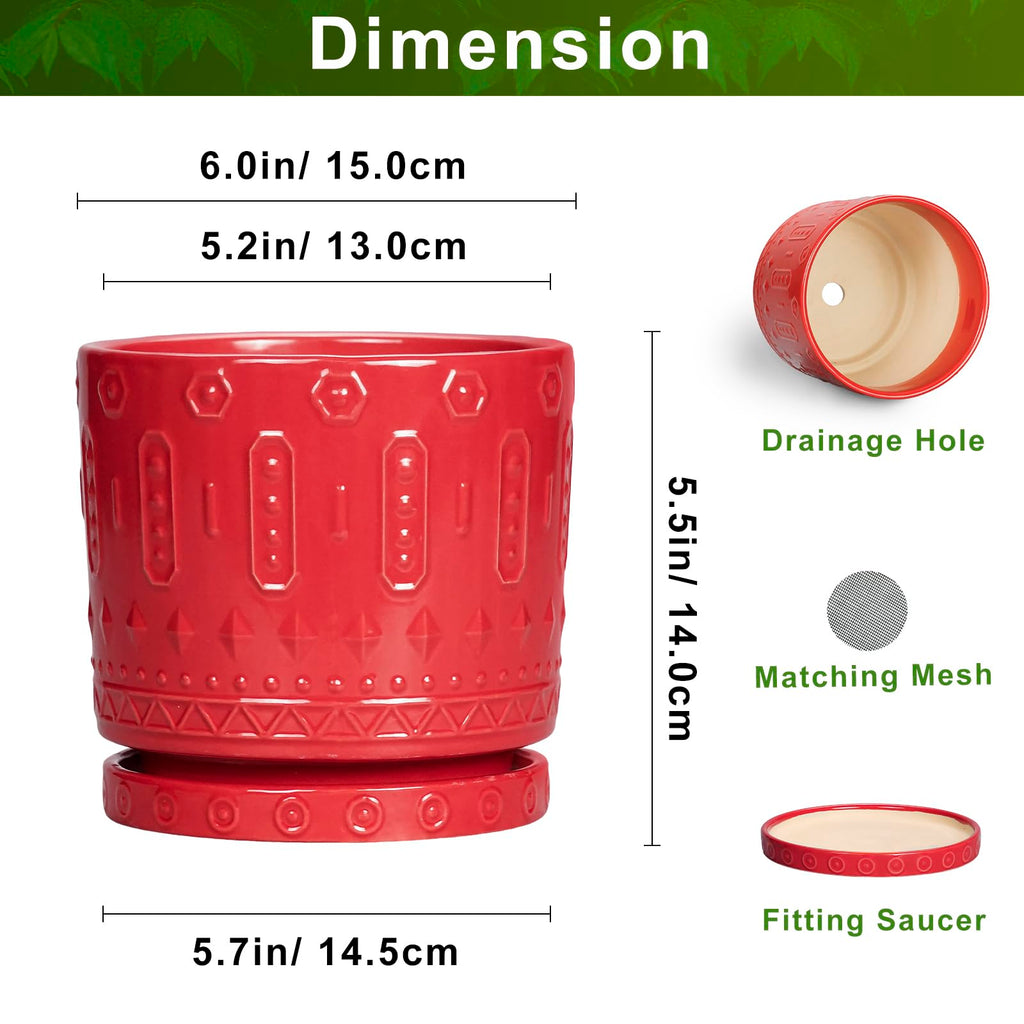 6 Inch Plant Pot, Ceramic Flower Pots for Indoor Outdoor Plants, Round Pots for Plants with Drainage Hole and Tray