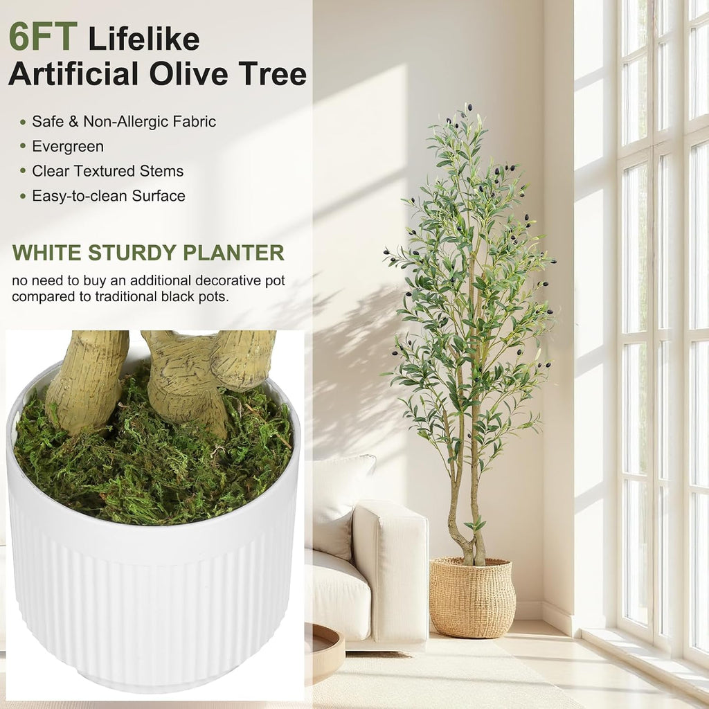 6ft Artificial Olive Tree Indoor, Fake Olive Tree with White Pot, Faux Olive Tree with Dense Leaves & Realistic