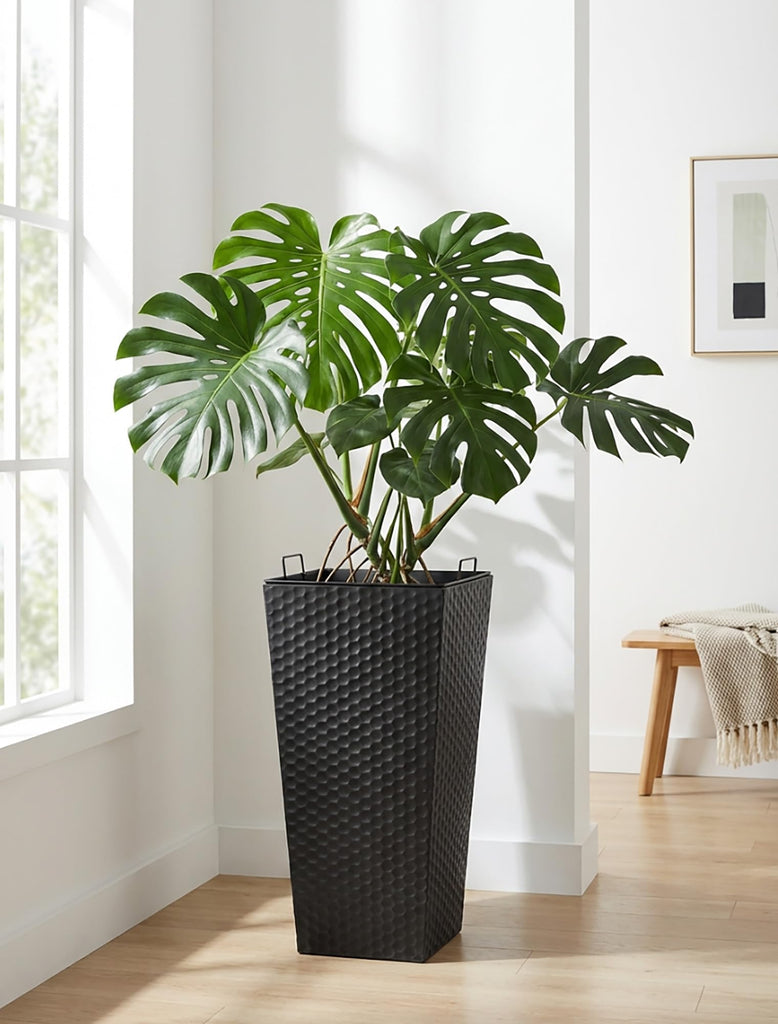 Black Metal Taper Planter with Inner Pots, Indoor Planter Pots