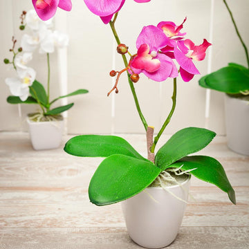 Faux Moth Orchid 8 Blooms - White Pot - Faux Plants - 15.4"" - 1ct Box