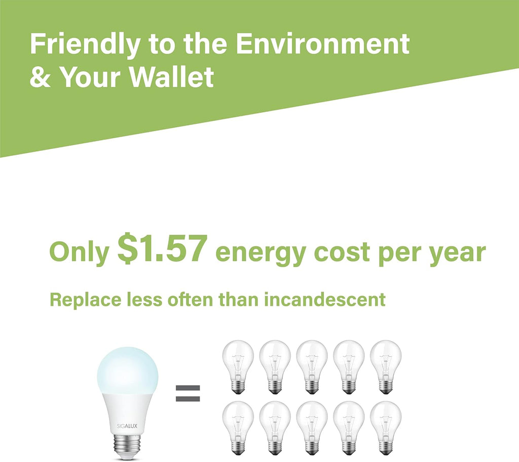 Light Bulbs 100 Watt Equivalent LED Bulbs, A19 Daylight Standard Light Bulbs 5000K White,Non-Dimmable 13W Energy