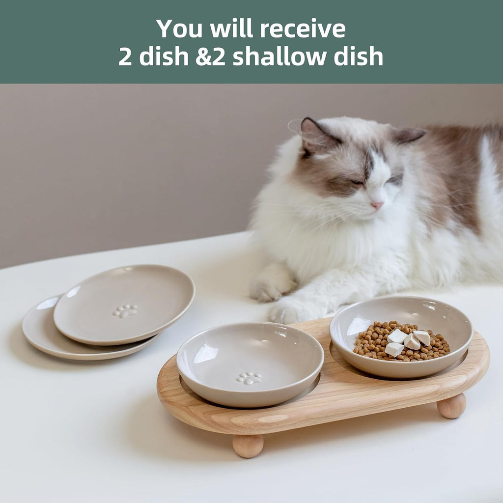 Elevated Cat Bowls, Cat Food and Water Bowl Set, Ceramic Cat Bowl