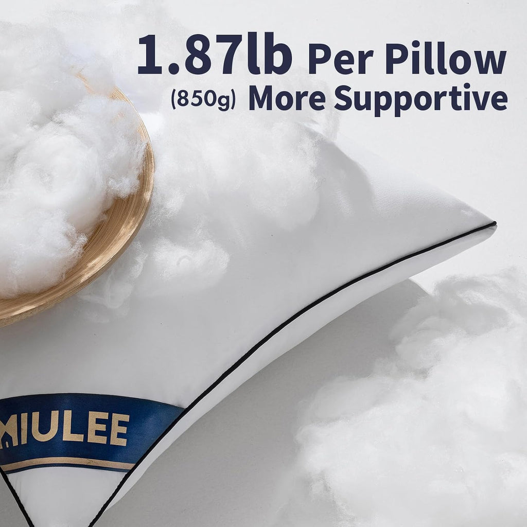 20x20 Pillow Inserts 2 Pack, Premium Down Alternative Throw Pillows - Set of 2