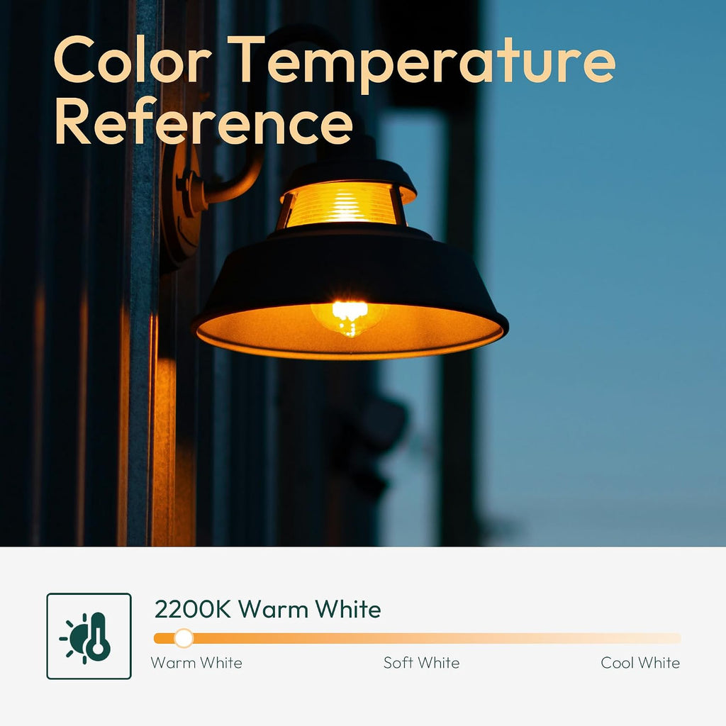 Amber ST19 Dusk to Dawn LED Outdoor Light Bulb, 700LM Sunlight Sensor Light Bulbs, 7W (60W Equivalent), 2200K Warm