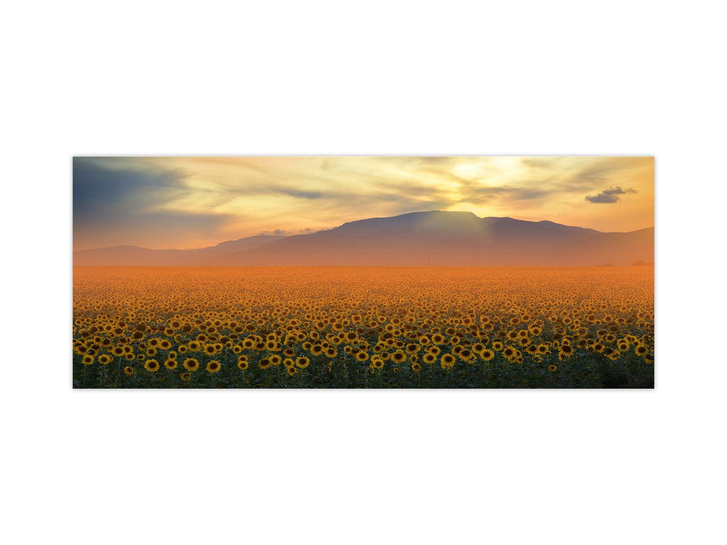 Stylish glass backsplash - Photo glass upstand Art Series BBS03C:
