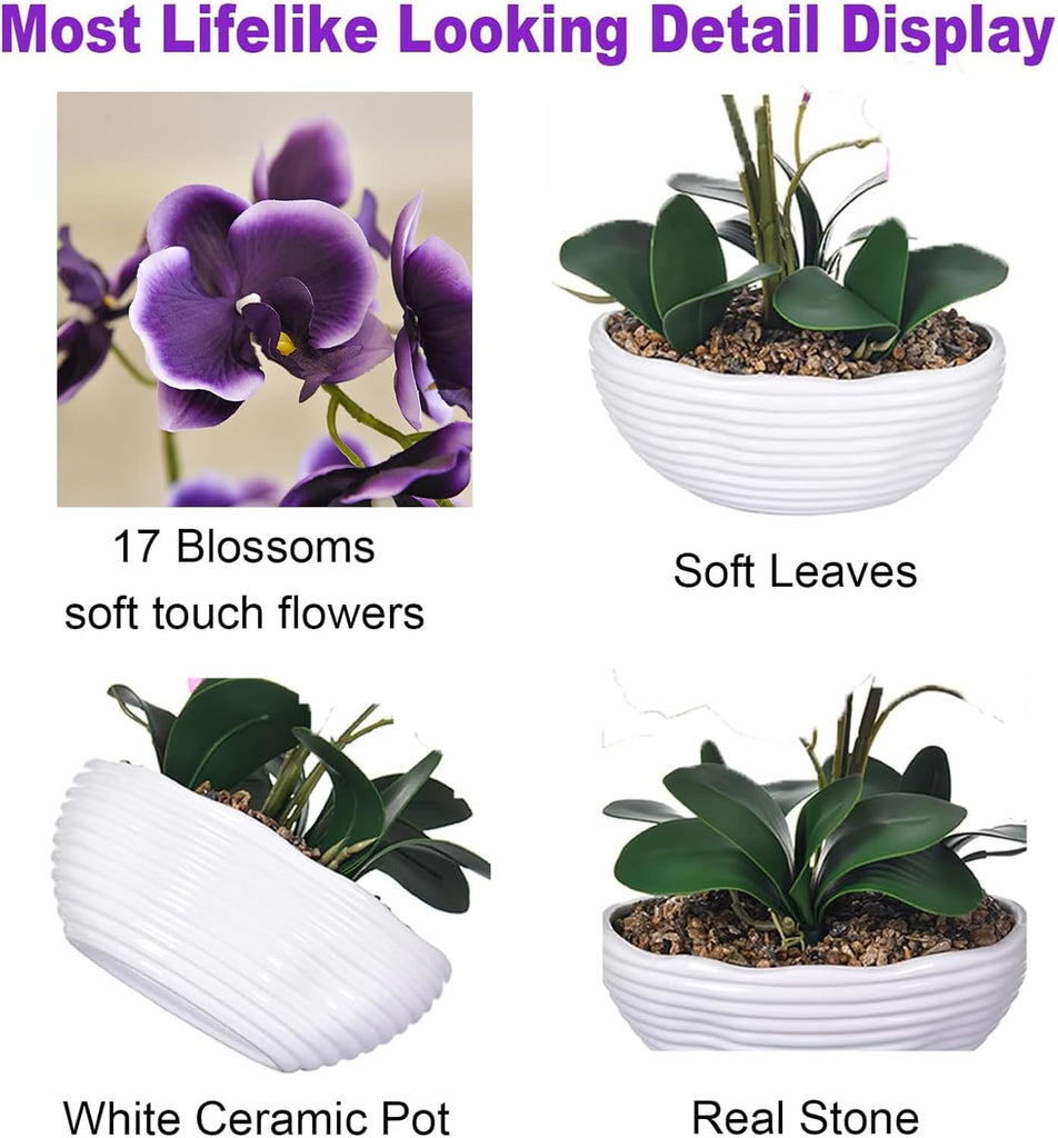 Large Silk Orchid in Wave Pot 19" Phalaenopsis Plant for Table, Deep Purple