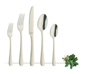 Matte Finish Flatware Set - 20-Piece, Matte Champagne, 18/0 Stainless Steel - Modern Silverware & Cutlery, Dishwasher